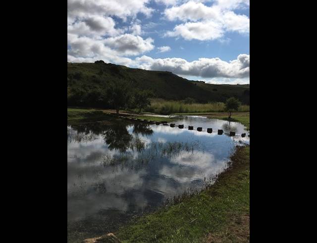 LAND FOR SALE IN MACHADODORP RURAL